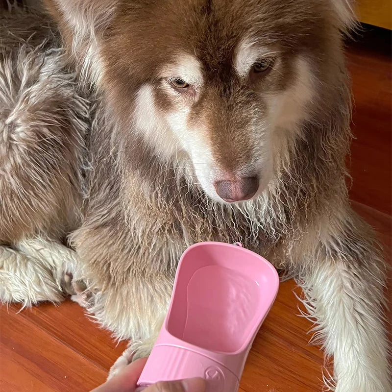 gourde pour chien isotherme